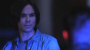 PLL218-00931.jpg
