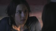 PLL120-1158.jpg