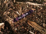 Alison's bracelet found on the ground