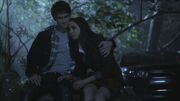 PLL202-0962.jpg