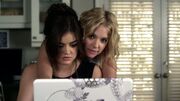 PLL304-0358.jpg