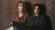 PLL215-00244.jpg