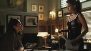 PLL212-00416.jpg