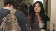 PLL121-0167.jpg