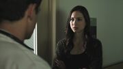 PLL204-0337.jpg