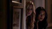 PLL207 (11)