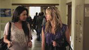 PLL210-00244.jpg