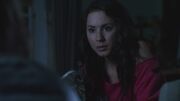 PLL224-00020.jpg