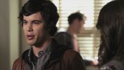 PLL216-00186.jpg