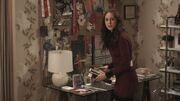 PLL207-00143.jpg