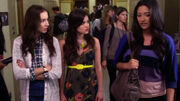 PLL21904.jpg