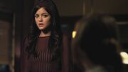 PLL211-01133.jpg
