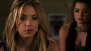 PLL221 (11)