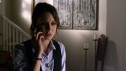 PLL303-1078.jpg