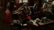 PLL301-0251.jpg