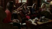 PLL301-0251