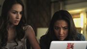 PLL217-00036.jpg