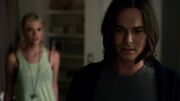 PLL304-0935.jpg