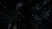 Ali walks through the woods.