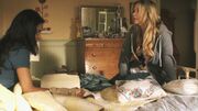 PLL107-00160.jpg