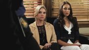 PLL110-00283.jpg