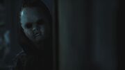 PLL213-01089.jpg