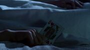 PLL303-1520.jpg