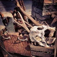 Tool Box?.jpg (202 KB)