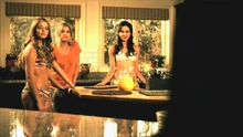 PLL101-00808