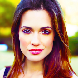 Torrey DeVitto - Wikipedia