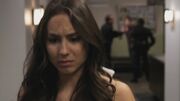 PLL212-00911.jpg