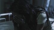 PLL109-00085.jpg
