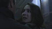 PLL122-1099.jpg