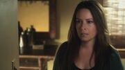 PLL215-00673.jpg