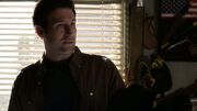 PLL302-01493.jpg