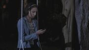 PLL112-0820.jpg