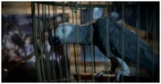 Tippi shares dinner with "A"
