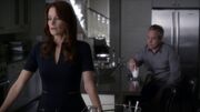 5x23~17.jpg