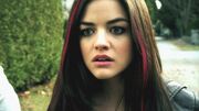 PLL101-00334.jpg