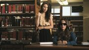 PLL108-00548.jpg