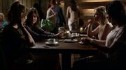 PLL304-0002.jpg