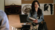 PLL202 (4)