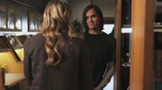 PLL116-0257.jpg