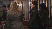 PLL121-0913.jpg