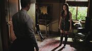 PLL215-00126.jpg