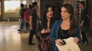 PLL116-0209.jpg
