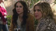 PLL224-00265.jpg