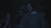 PLL215-01238.jpg