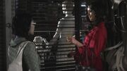 PLL225-00643.jpg