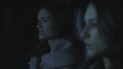PLL122-0862.jpg